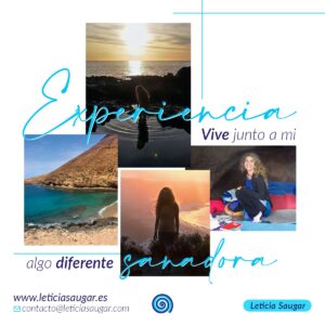 EXPERIENCIA